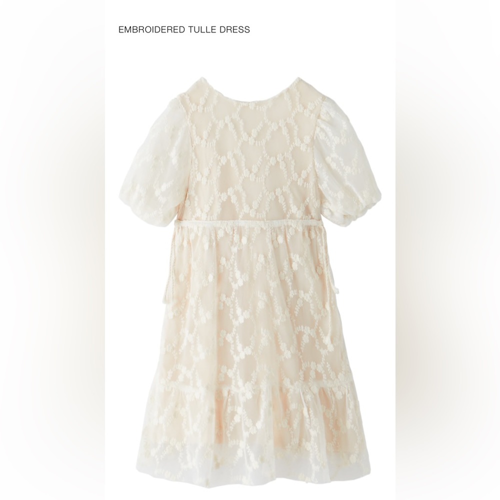Zara Girls embroidered tulle dress